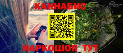 а пвп мука Ачхой-Мартан