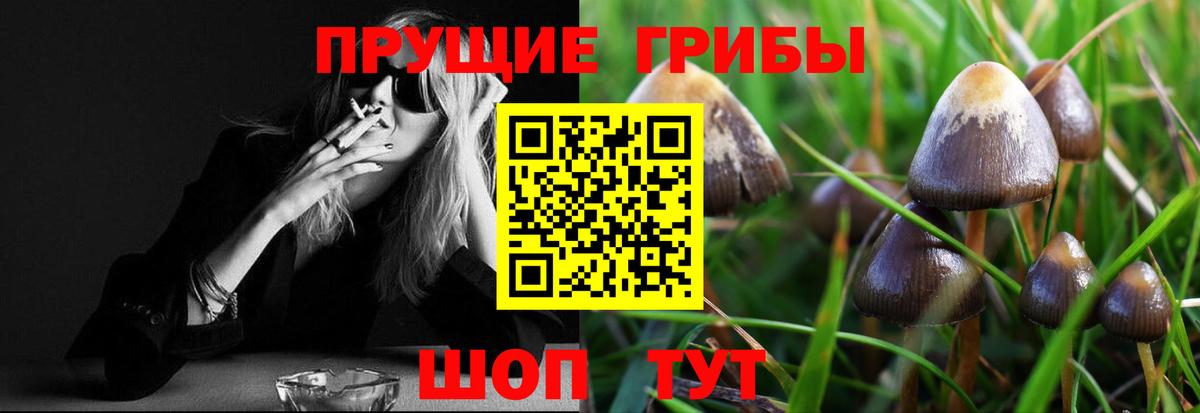 сколько стоит  Вход с VPN  Галлюциногенные грибы прущие грибы  Елабуга  Псилоцибиновые грибы мухоморы 